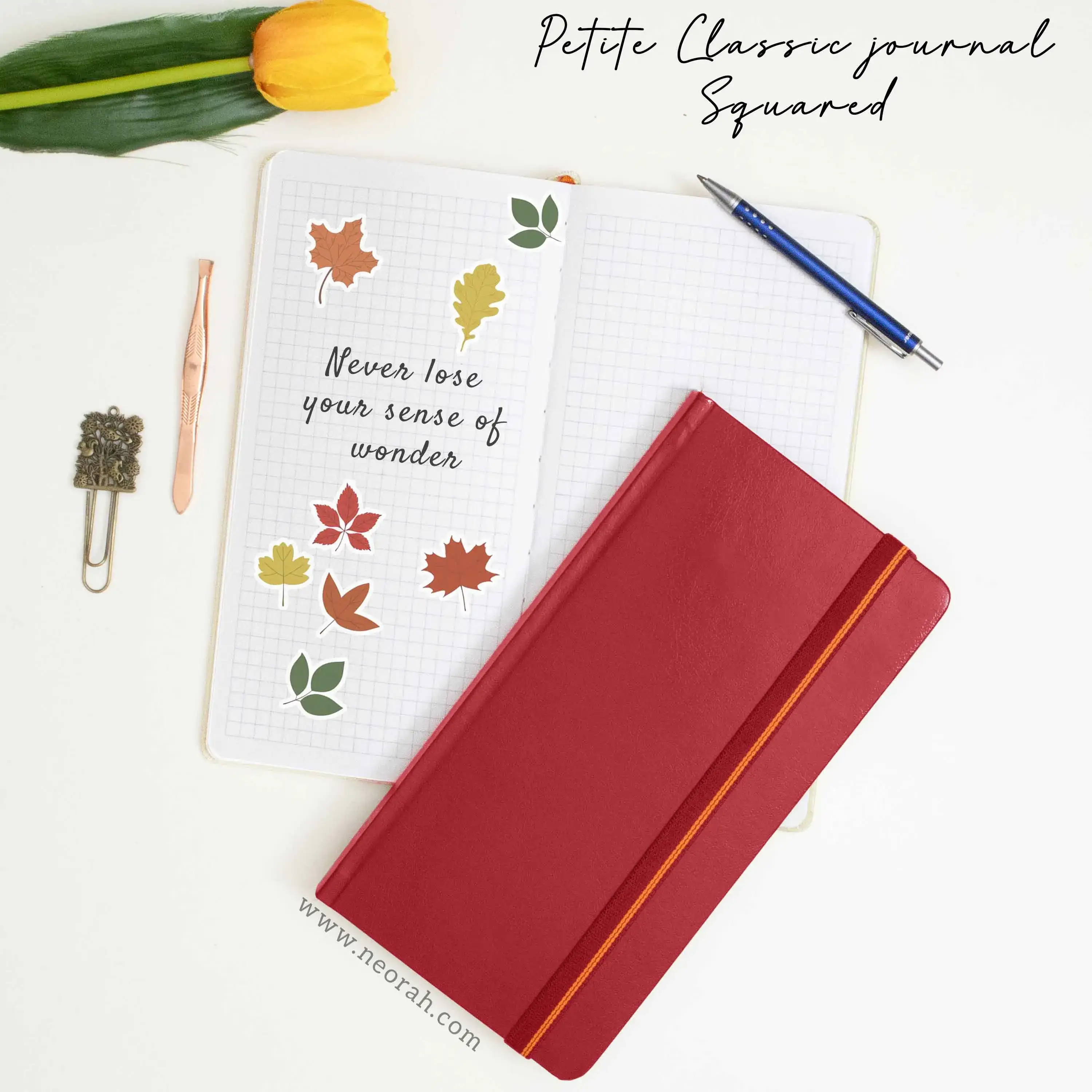 Product image 125